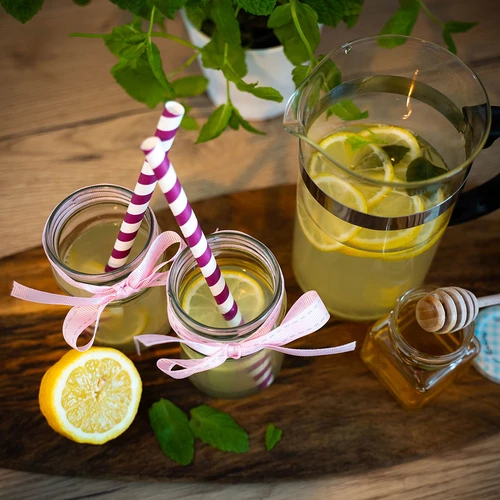 Буркан TO 300 ml fi 66 - пакет 12 бр. - 11