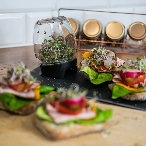 Буркан за покълване Twist-off + 5 опаковки семена - 11