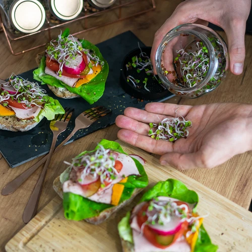 Буркан за покълване Twist-off + 5 опаковки семена - 12