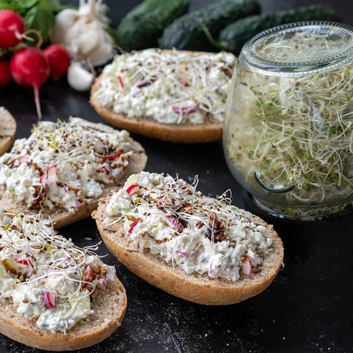 Буркан за покълване Twist-off + 5 опаковки семена - 10