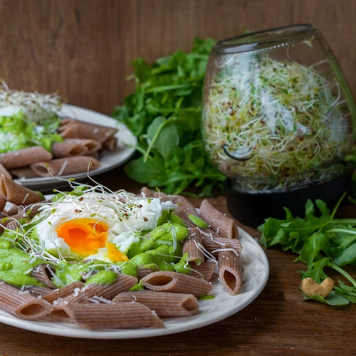 Буркан за покълване Twist-off + 5 опаковки семена - 15