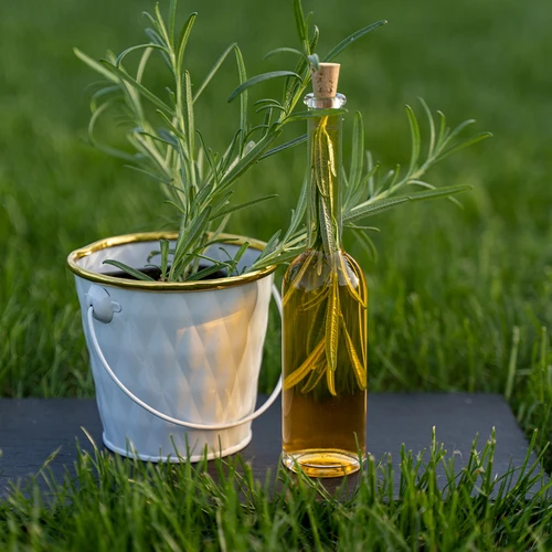 Бутилка за наливка 100 мл 6 бр.+ 6 тапи - 10