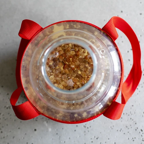 Дамаджана за вино, лека, нечуплива, с презрамки, 10 л - 18