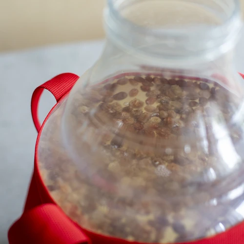 Дамаджана за вино, лека, нечуплива, с презрамки, 10 л - 17