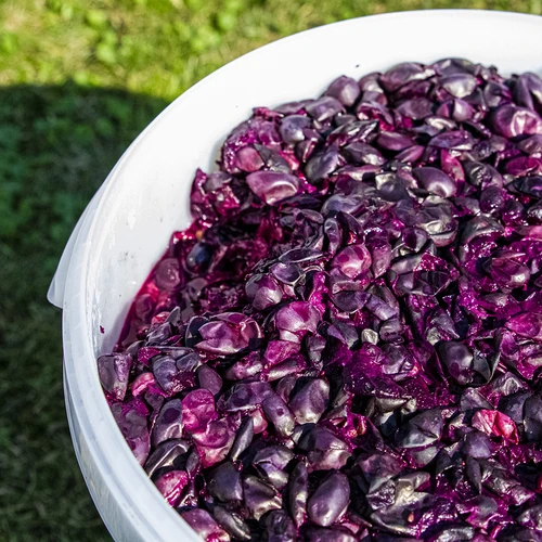 Ферментационен съд 30 л с капак - 12