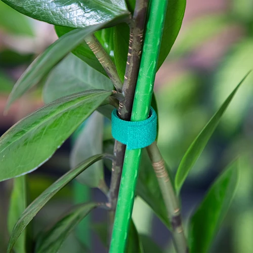 Градинска лента с велкро, зелена, 15 мм x 5 м - 4