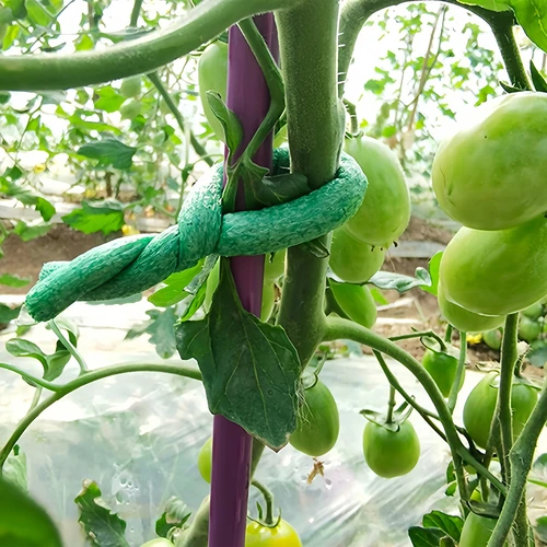 Градинска тел с гъбесто покритие, зелена, 10 m, Ø 10 mm - 4