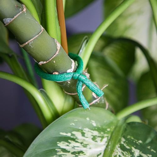 Градинска тел с гъбесто покритие, зелена, 10 m, Ø 10 mm - 5