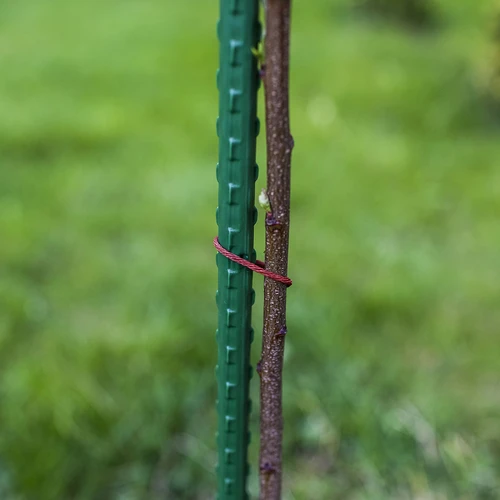 Градински колове Bioogród – стоманени с покритие, 0,9 m, Ø 8 mm, 10 бр. - 6