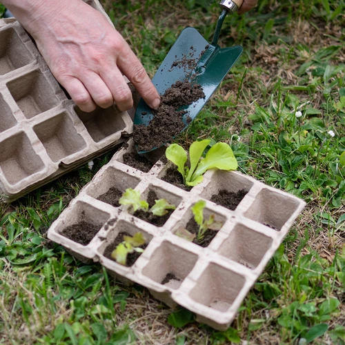 Хартиени саксии 4,5x5x4,5 cm, 30 бр. - 7