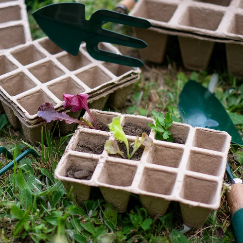 Хартиени саксии 4 x 4 x 4,5, комплект 5 бр. - 6