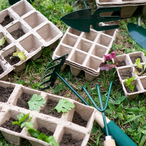 Хартиени саксии 4 x 4 x 4,5, комплект 5 бр. - 5