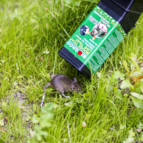 Капан за мишки - живоловен капан - 10