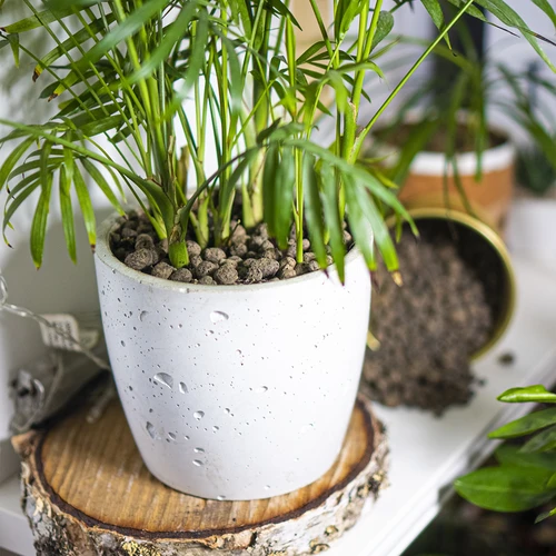 Керамзит за саксийни растения, градинарство и гори в стъкло, 4-10 mm, 2L - 9