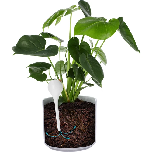 Кълба за напояване на растения, бели полупрозрачни, с коркова тапа, 400 мл, 4 бр. - 6