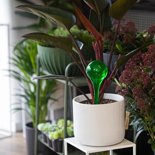 Кълба за напояване на растения, прозрачни зелени, 400 мл, 2 бр. - 10