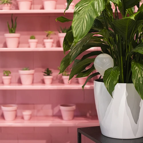 Кълба за поливане на растения, бели полупрозрачни, 400 мл, 4 бр. - 12