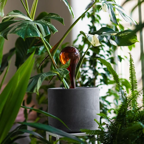 Кълба за поливане на растения, прозрачни кехлибарени, 400 мл, 2 бр. - 10