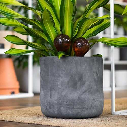 Кълба за поливане на растения, прозрачни кехлибарени, 400 мл, 2 бр. - 13