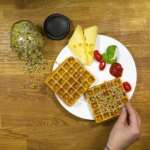 Кълнячка тип буркан Twist-off със семена от репички - 13