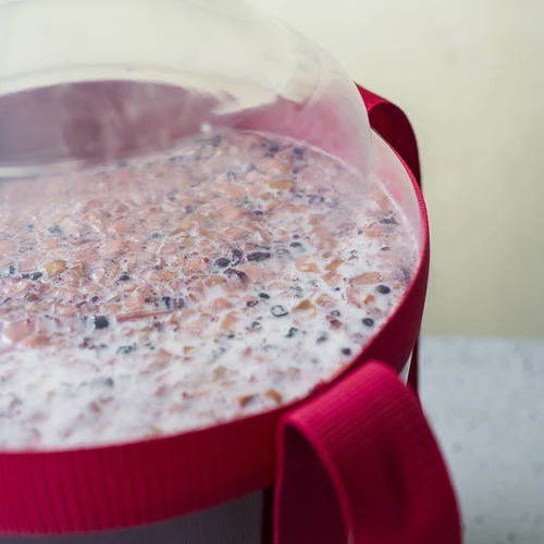 Лека, нечуплива дамаджана за вино с ремъци за пренасяне, 25 л - 16