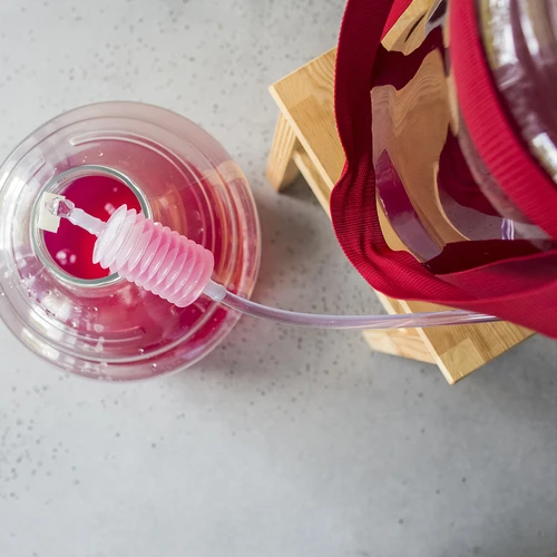 Лека, нечуплива дамаджана за вино с ремъци за пренасяне, 25 л - 18