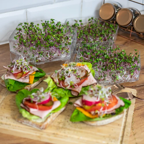 Многоетажен уред за покълване Niezłe Ziółko + 10 опаковки семена - 18