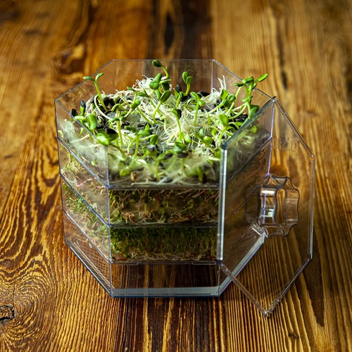 Многостепенен уред за покълване Niezłe Ziółko със семена от репичка - 19