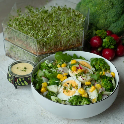 Многостепенен уред за покълване Niezłe Ziółko със семена от репичка - 13