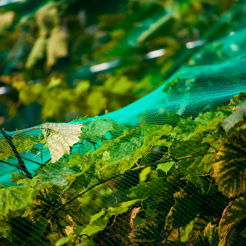 Мрежа за защита от птици, зелена, 2 м x 5 м - 5