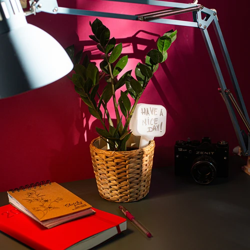 Напоител за растения - бяла табелка с керамичен накрайник, 200 ml - 11