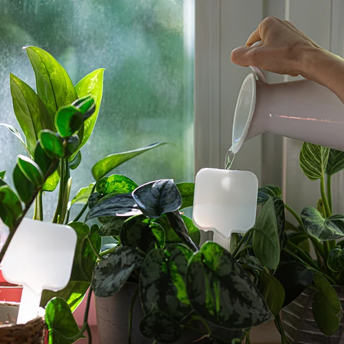Напоител за растения - бяла табелка с керамичен накрайник, 200 ml - 8