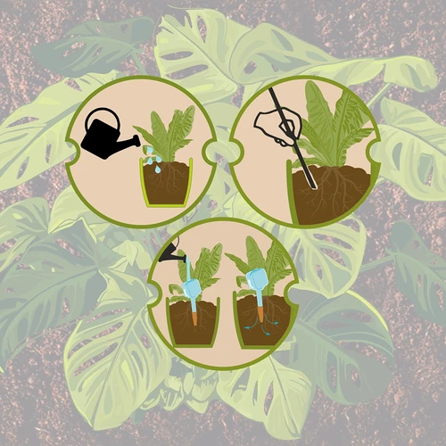 Напоител за растения – черна табелка с керамично краче, 200 ml - 10