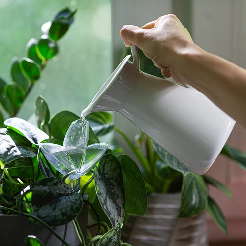 Напоител за растения – прозрачен лист с керамичен конус, 120 мл - 8