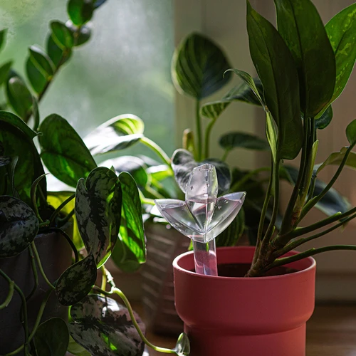 Напоител за растения – прозрачен лист с керамичен конус, 120 мл - 9