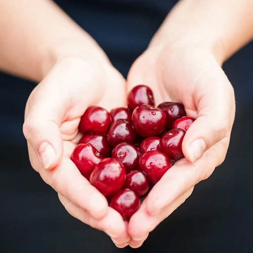 Обезкоствач за вишни и череши (във фолио) - 7