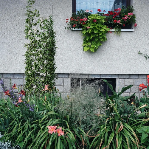 Опора за растения - градинска решетка 150 x 45 см - 4