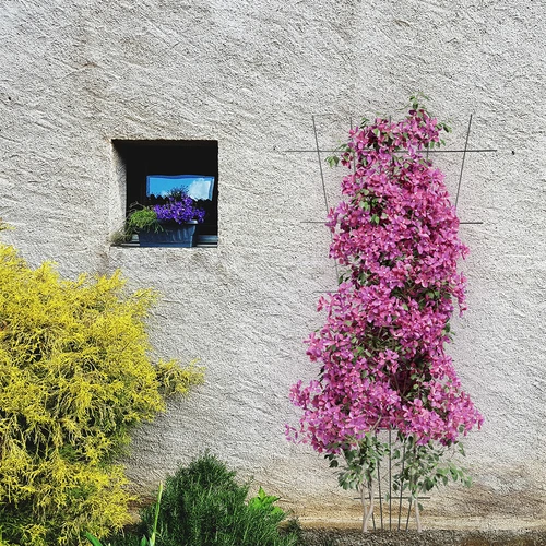 Опора за растения - решетка (150 см x 75 см) 2 броя - 4