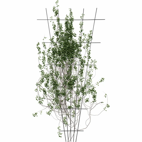 Опора за растения - стесняваща се градинска решетка 150 x 75 см - 3