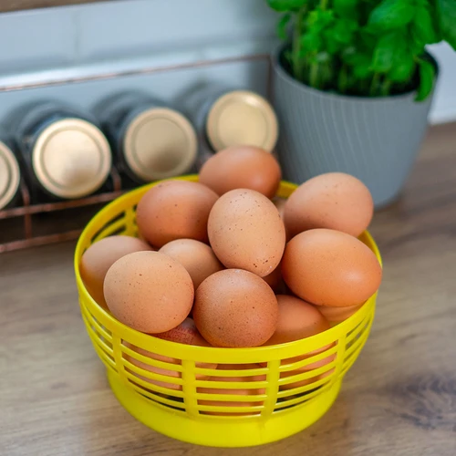 Пластмасова кошница за Dam 5 л, жълта - 8