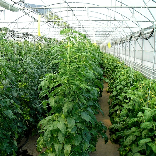 Полипропиленов шнур 1 mm/65 m/50 g - 5