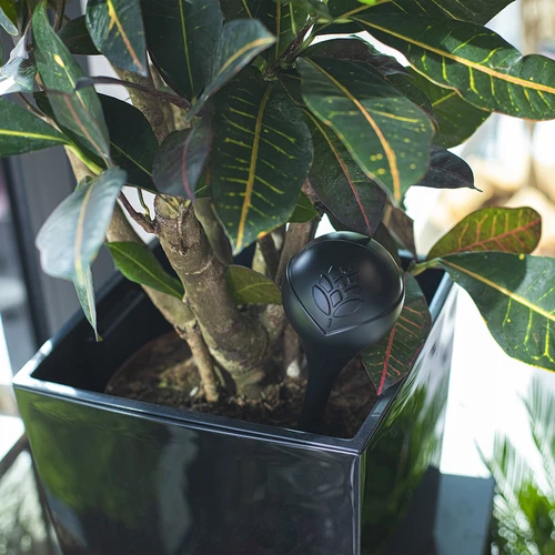 Поливащи топки за растения, черни матови, 400 мл, 2 бр. - 10