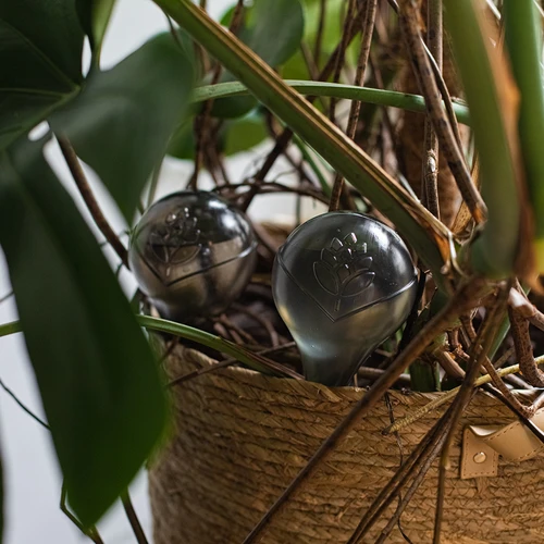 Поливащи топки за растения, черни прозрачни, 400 мл, 2 бр. - 14