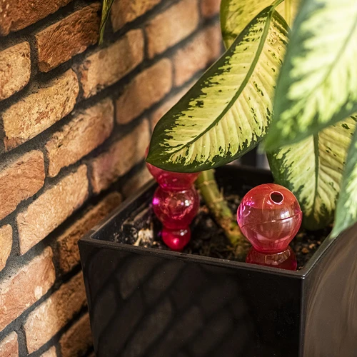 Поливна сфера, тройна (трикамерна), прозрачна розова, 600 мл - 8