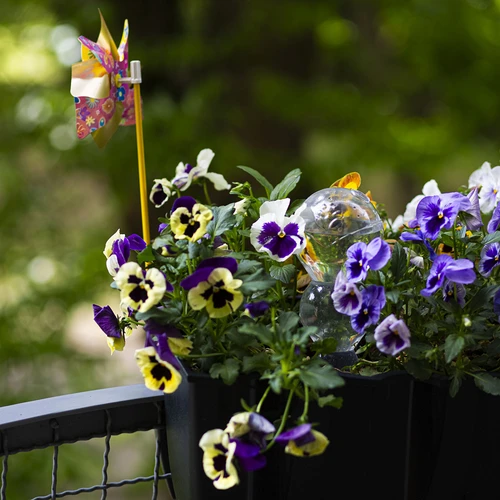 Поливна топка, тройна (трикамерна), прозрачна, безцветна, с керамичен шип, 600 мл - 9