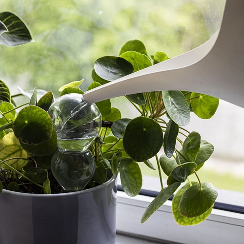 Поливна топка, тройна (трикамерна), прозрачна, безцветна, с керамичен шип, 600 мл - 6