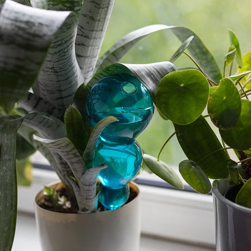 Поливна топка, тройна (трикамерна), синьо-прозрачна, 600 мл - 6