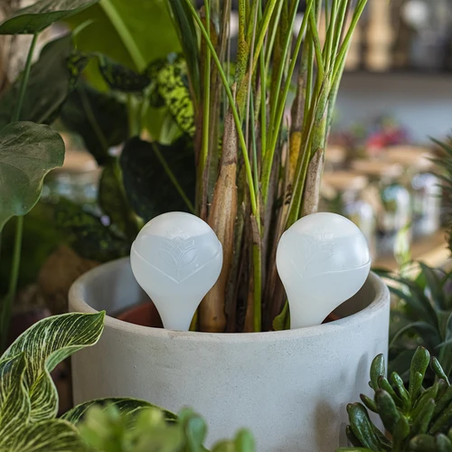 Поливна топка за растения, бяла матова с керамичен накрайник, 400 мл - 9