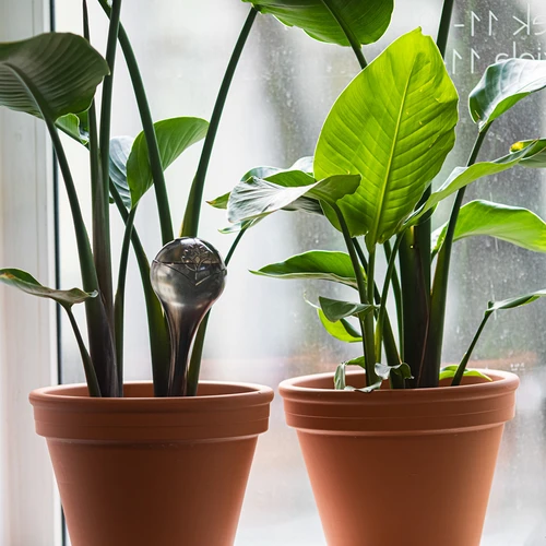 Поливни кълба за растения, прозрачно-черни, 400 мл, 4 бр. - 8