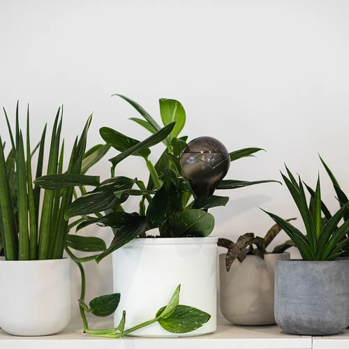 Поливни кълба за растения, прозрачно-черни, 400 мл, 4 бр. - 10